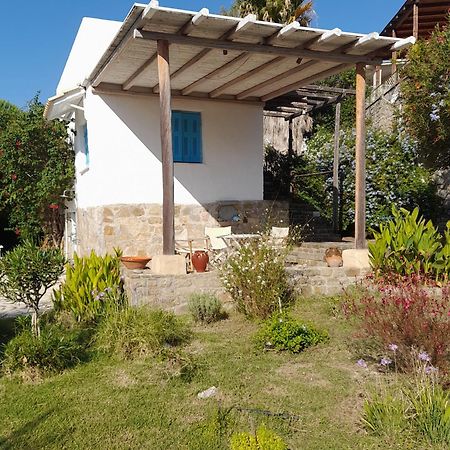 Lemon Tree Cottage Finikounta Exterior photo